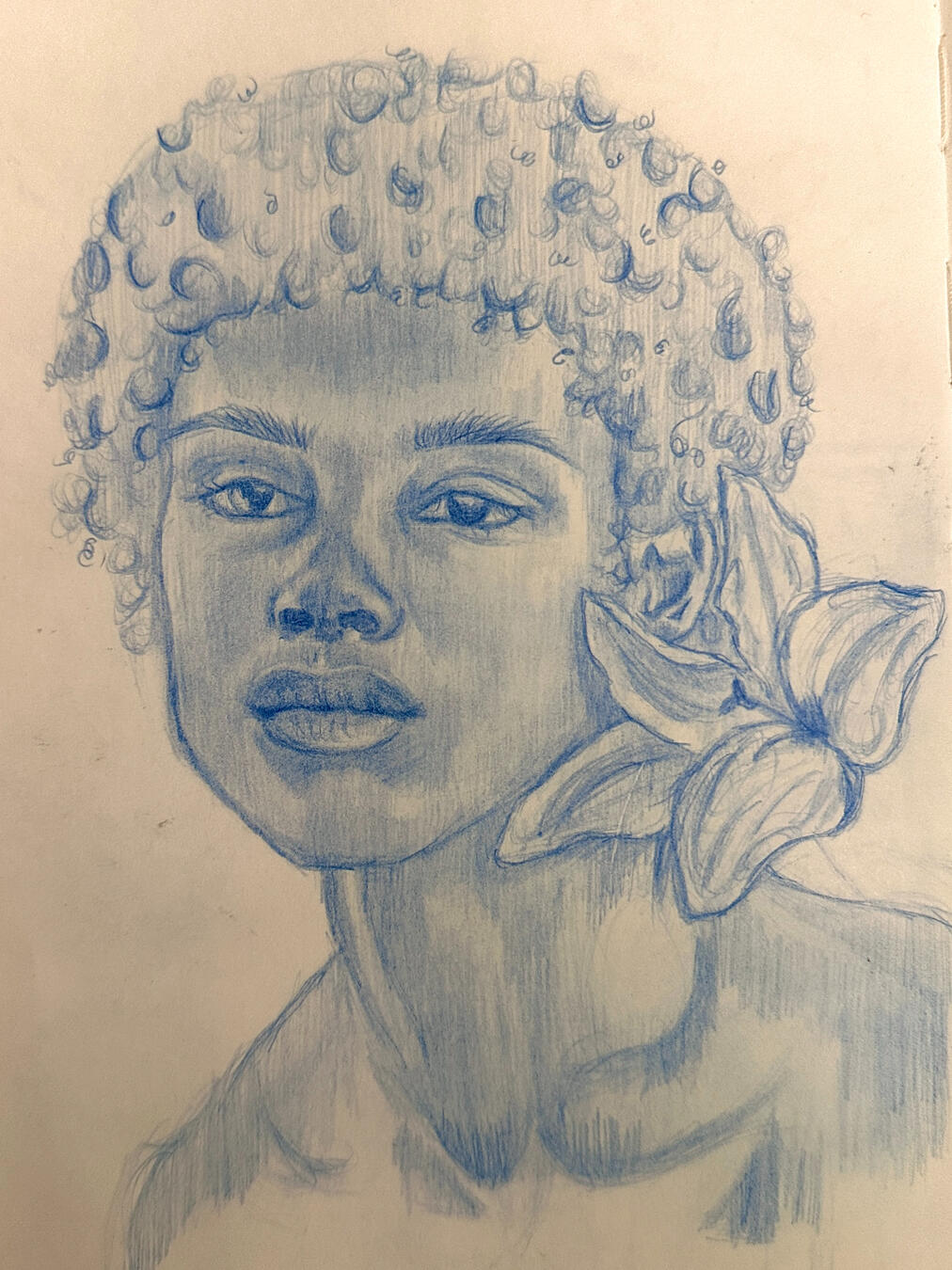 Untitled Untitled